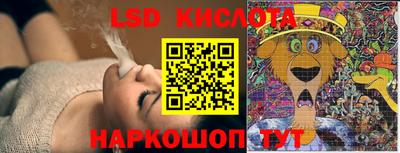spice Свободный