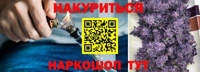 индика Северобайкальск
